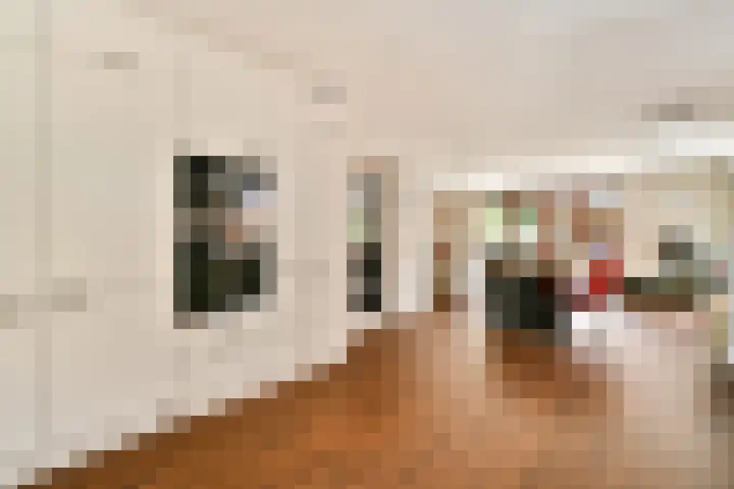 Willem van Ewijcklaan 6 Hendrik-Ido-Ambacht thumbnail 17