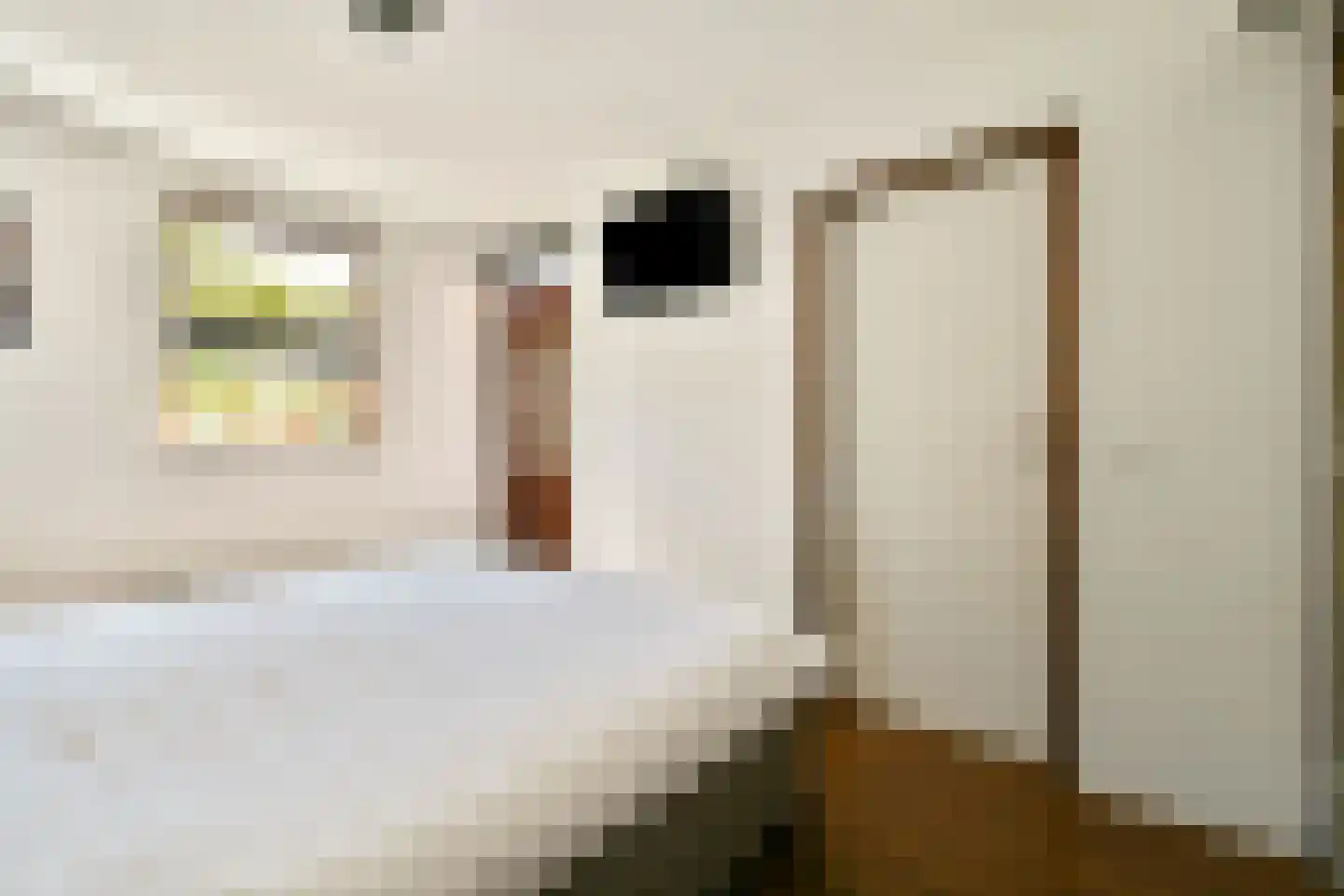 Willem van Ewijcklaan 6 Hendrik-Ido-Ambacht thumbnail 22