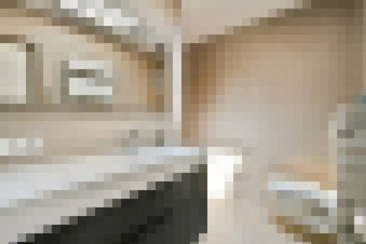Willem van Ewijcklaan 6 Hendrik-Ido-Ambacht thumbnail 23