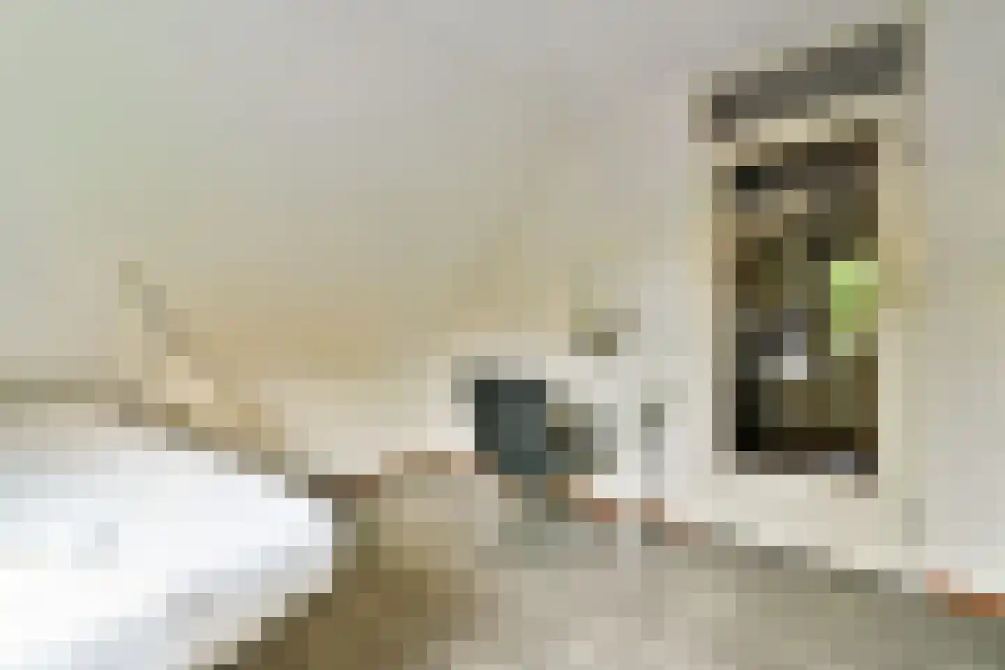 Willem van Ewijcklaan 6 Hendrik-Ido-Ambacht thumbnail 37