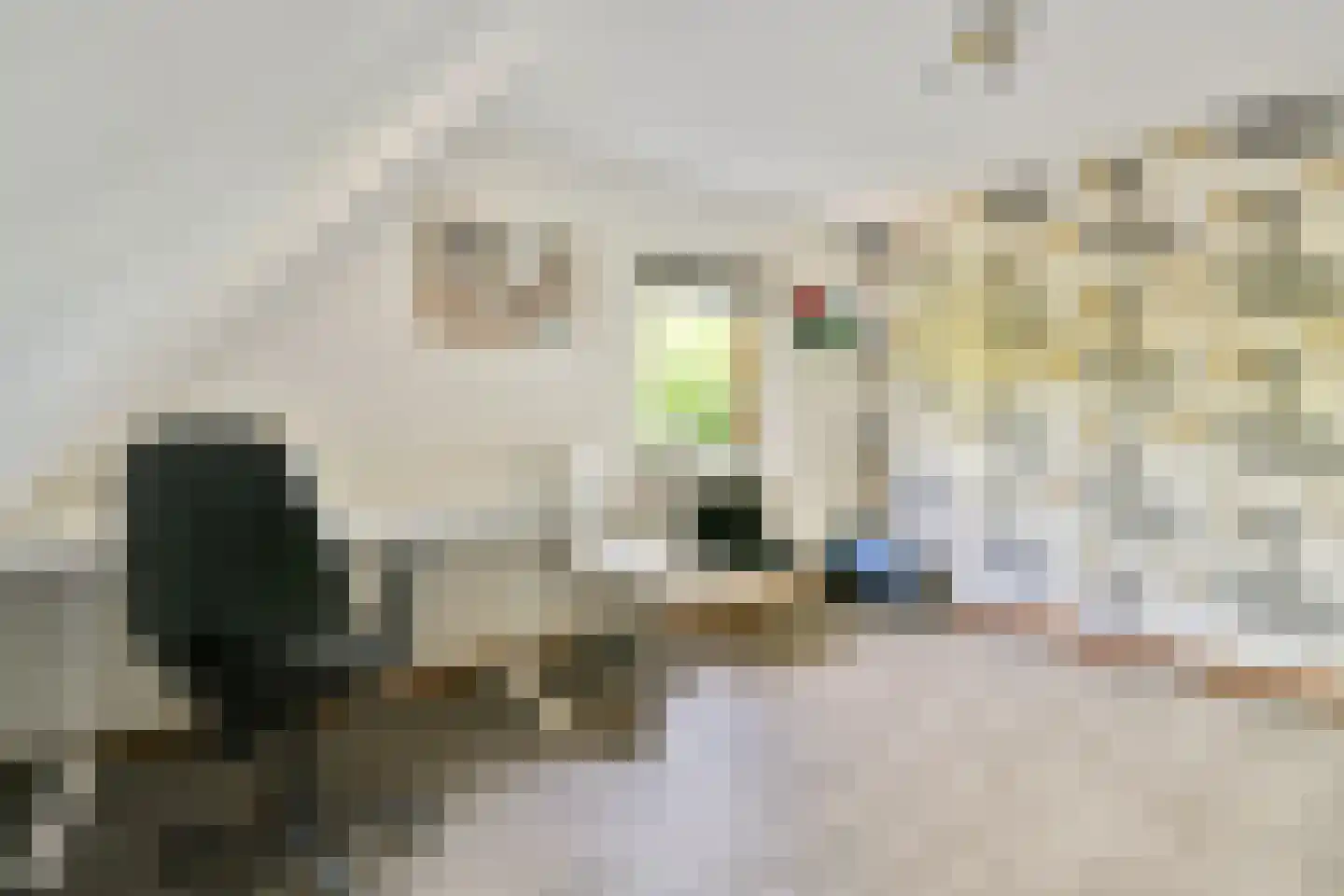 Willem van Ewijcklaan 6 Hendrik-Ido-Ambacht thumbnail 38
