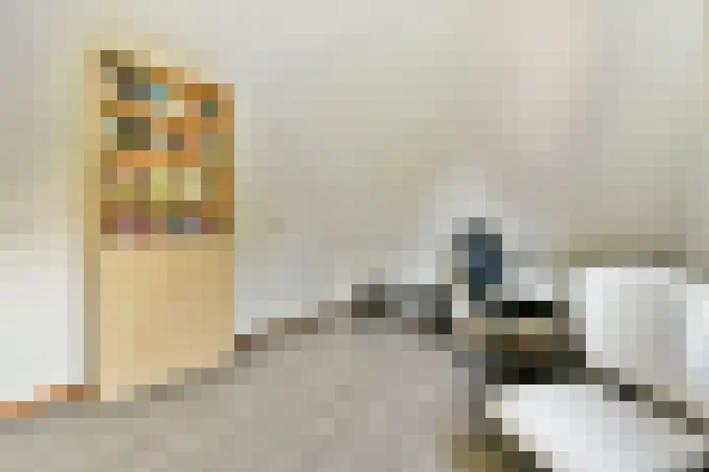 Willem van Ewijcklaan 6 Hendrik-Ido-Ambacht thumbnail 39
