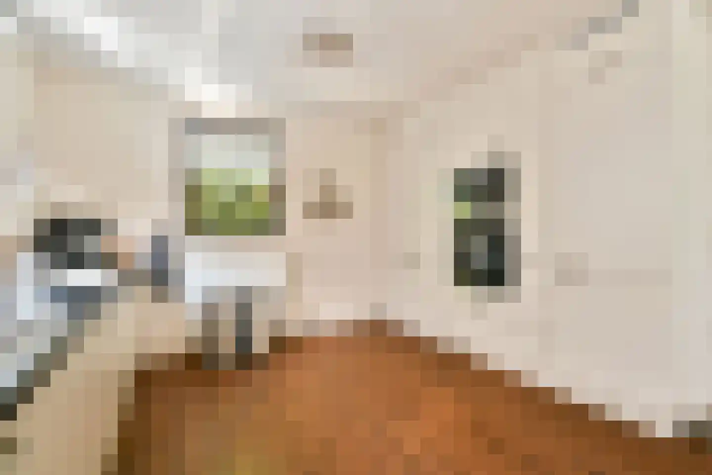 Willem van Ewijcklaan 6 Hendrik-Ido-Ambacht thumbnail 4