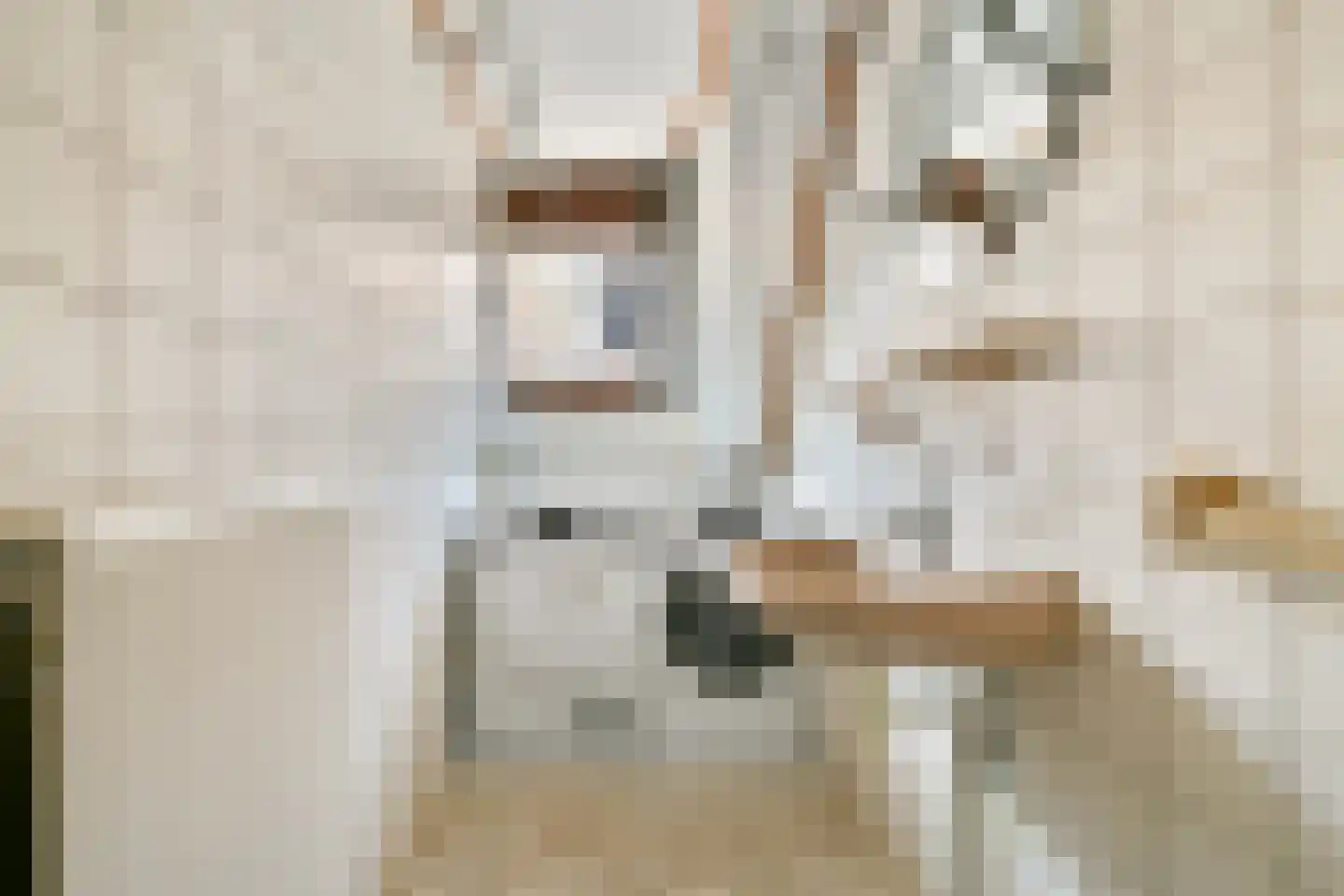 Willem van Ewijcklaan 6 Hendrik-Ido-Ambacht thumbnail 40