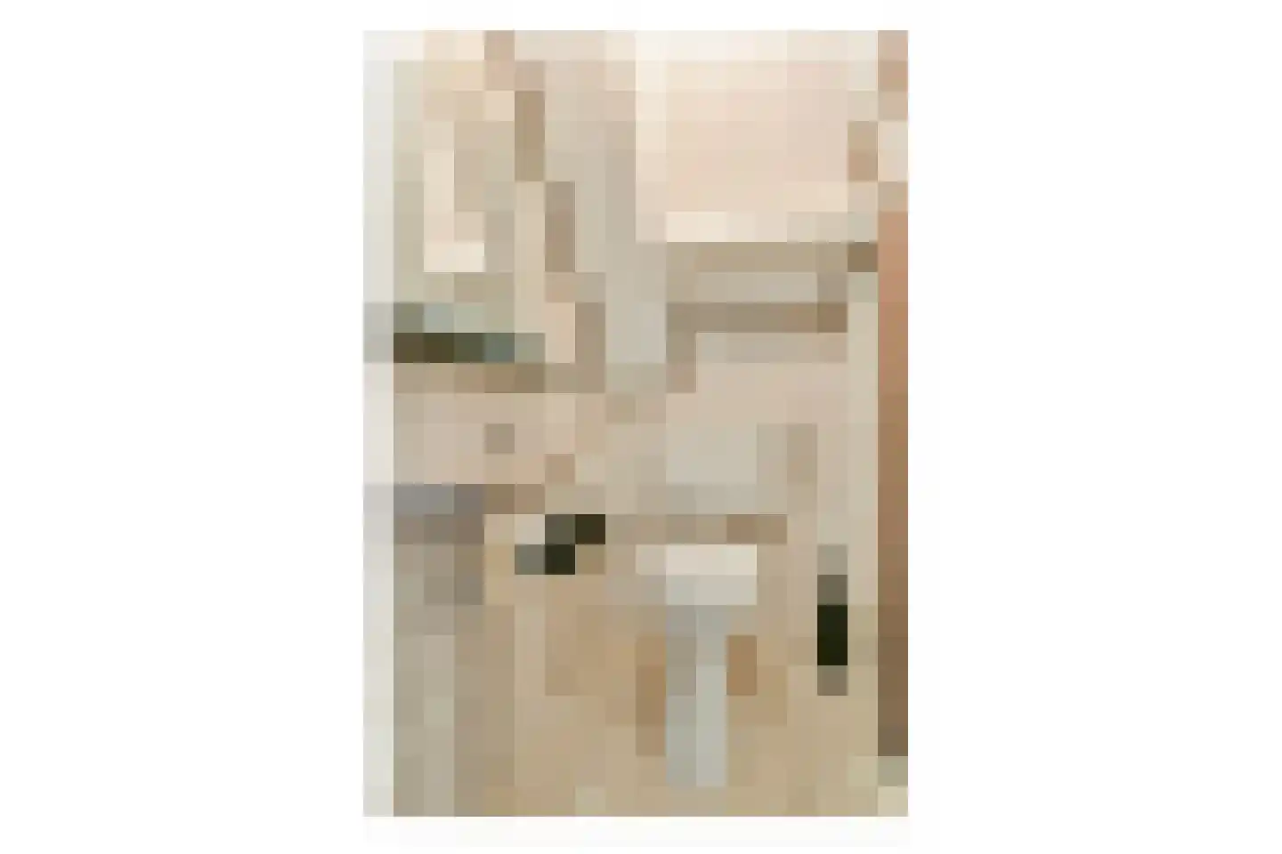 Willem van Ewijcklaan 6 Hendrik-Ido-Ambacht thumbnail 41