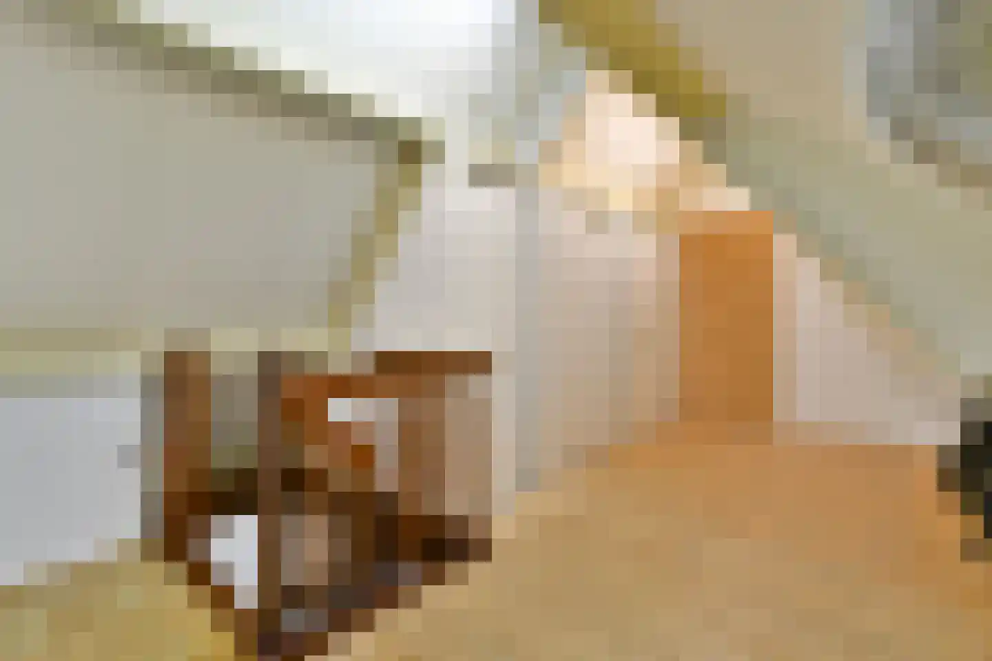Willem van Ewijcklaan 6 Hendrik-Ido-Ambacht thumbnail 43