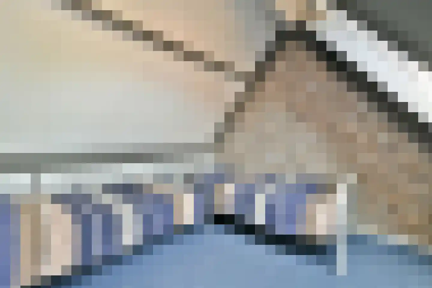 Willem van Ewijcklaan 6 Hendrik-Ido-Ambacht thumbnail 44