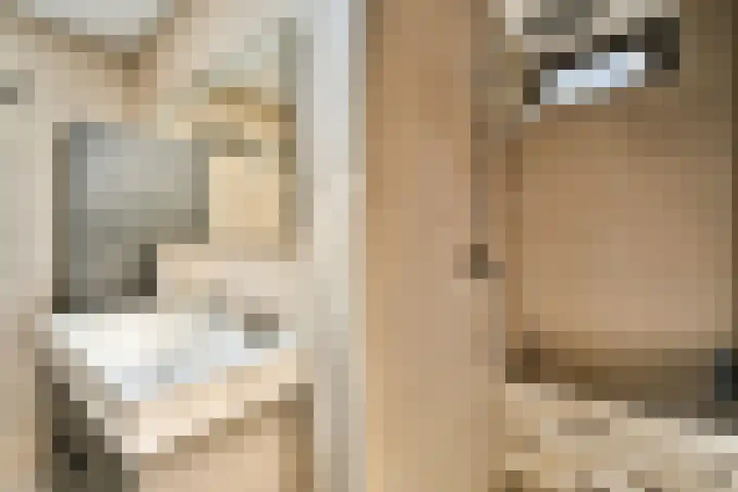 Willem van Ewijcklaan 6 Hendrik-Ido-Ambacht thumbnail 6
