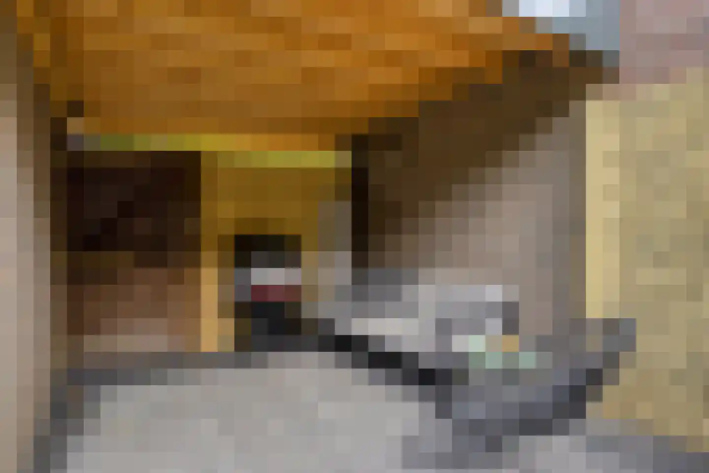 Willem van Gelre-Gulikstraat 36 Sittard thumbnail 31