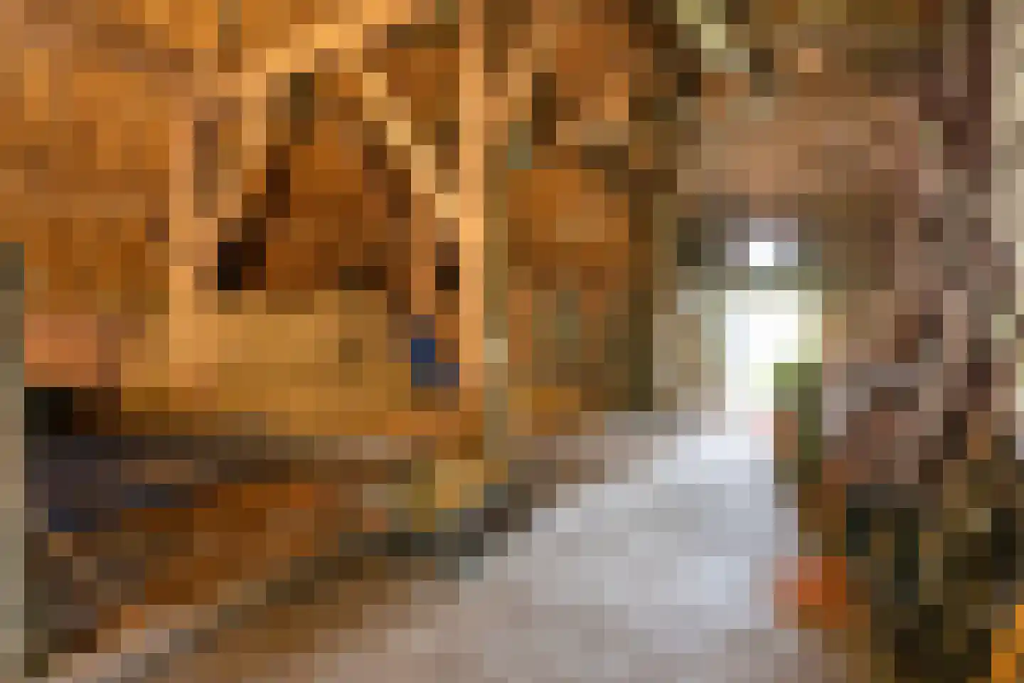 Willem van Gentsvaart 28 Sprang-Capelle thumbnail 38