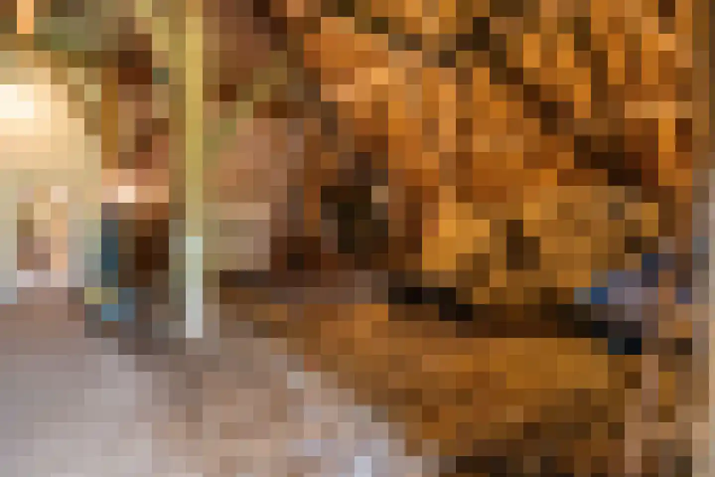 Willem van Gentsvaart 28 Sprang-Capelle thumbnail 39