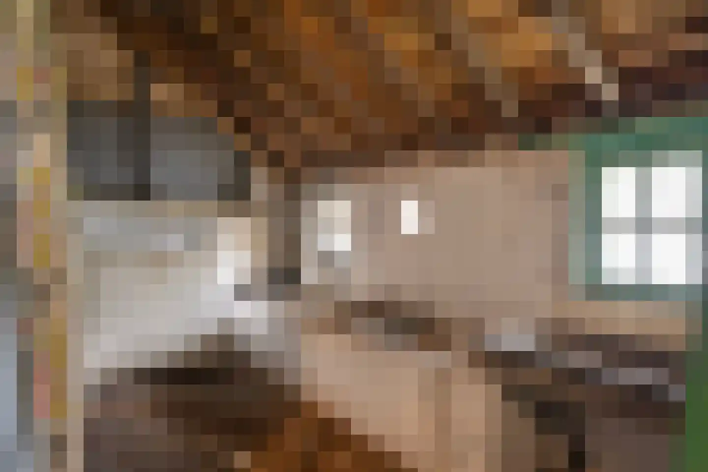 Willem van Gentsvaart 28 Sprang-Capelle thumbnail 41