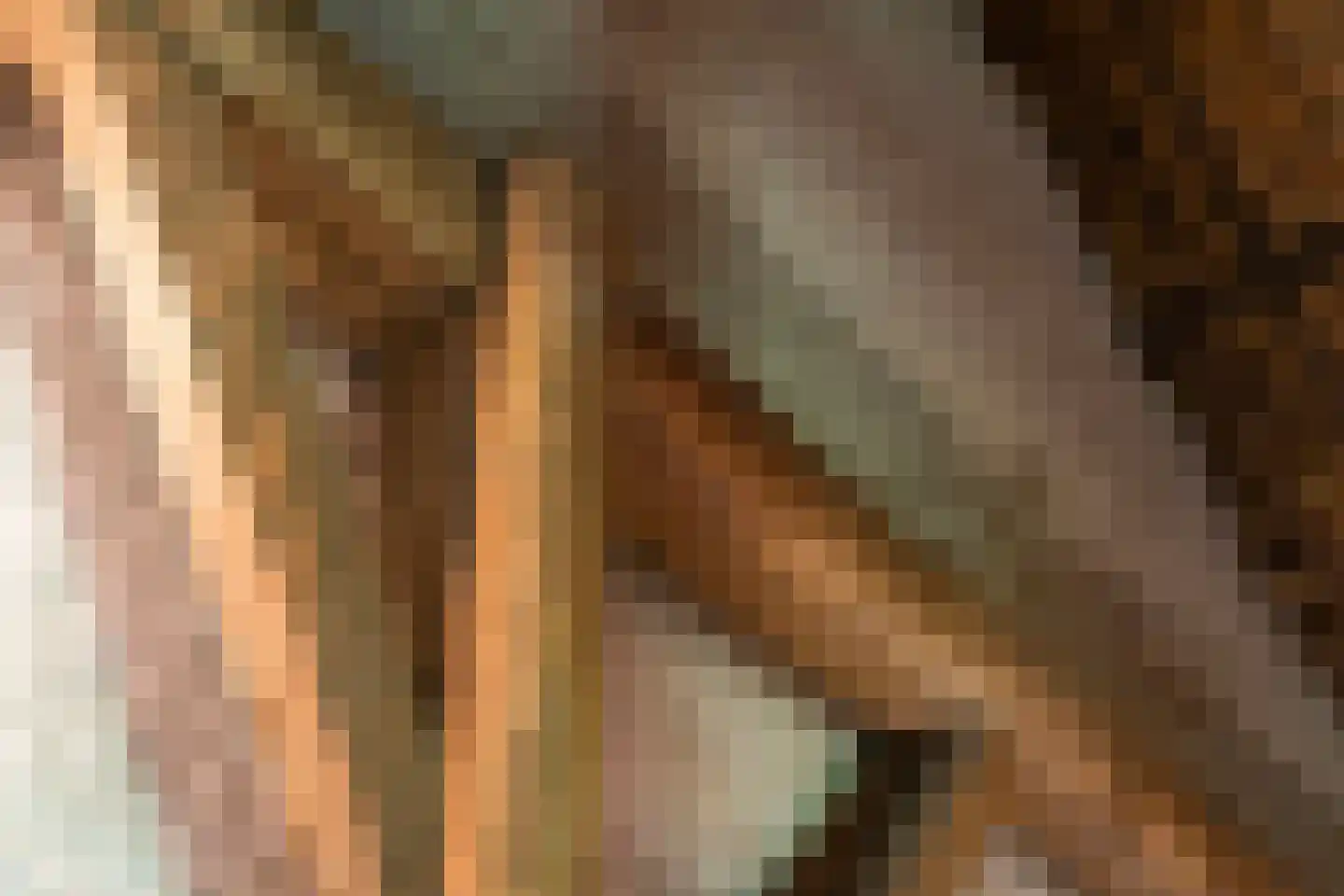 Willem van Gentsvaart 28 Sprang-Capelle thumbnail 42