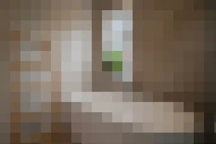 Willem van Gulikstraat 20 Arnhem thumbnail 26