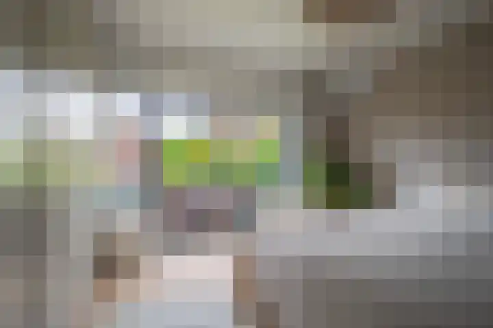 Willem van Gulikstraat 20 Arnhem thumbnail 32