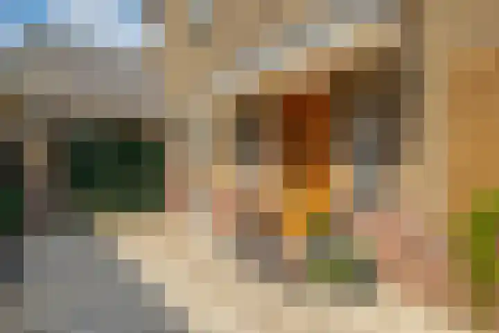 Willem van Gulikstraat 20 Arnhem thumbnail 4