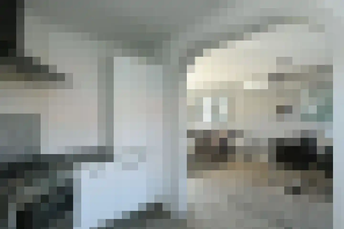 Willem van Gulikstraat 28 Velp thumbnail 10