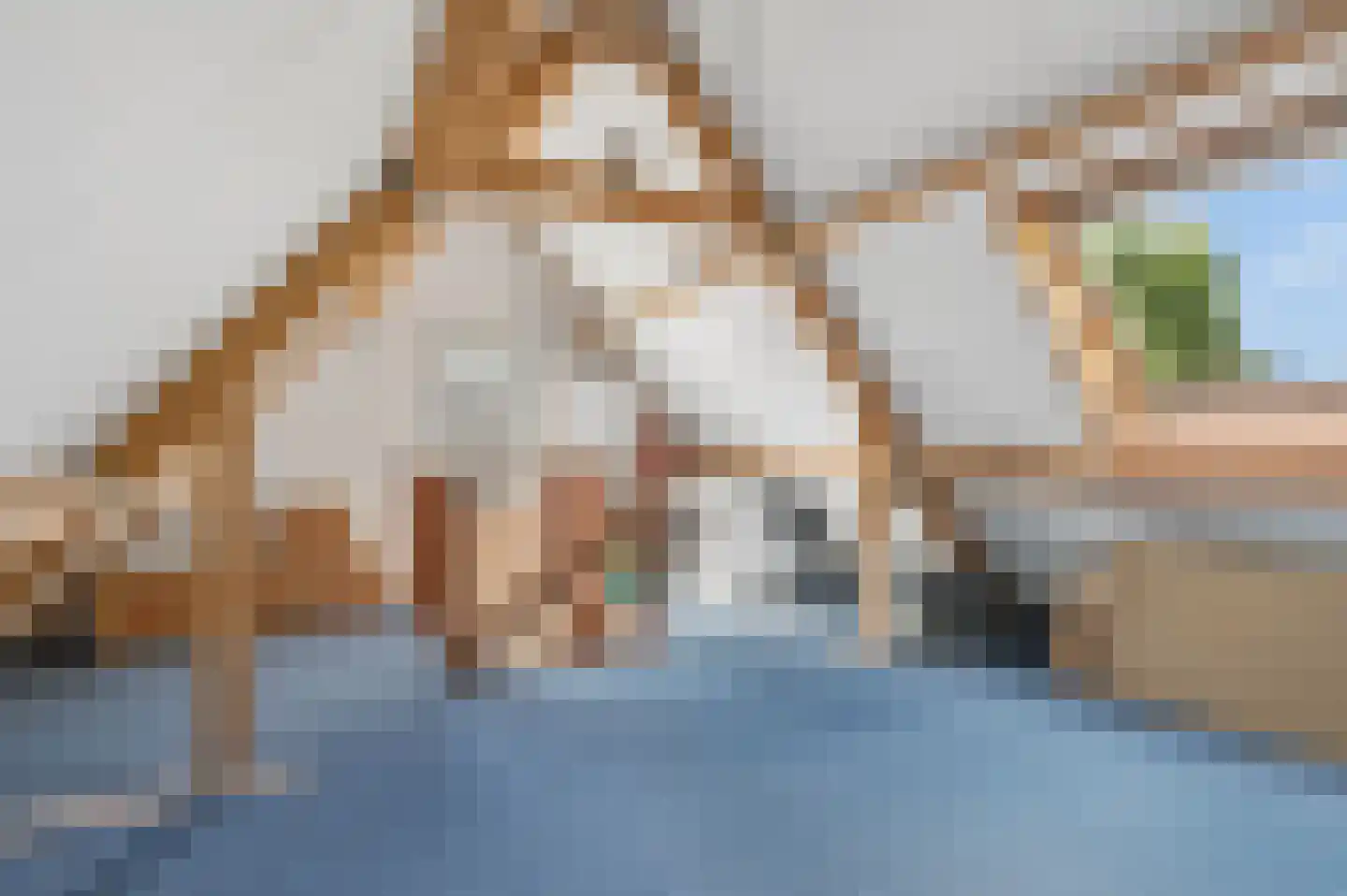 Willem van Harselaarlaan 11 Nijkerk thumbnail 26