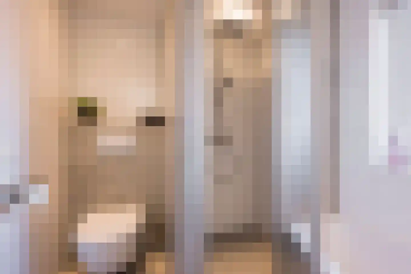 Willem van Harselaarlaan 26 Nijkerk thumbnail 24