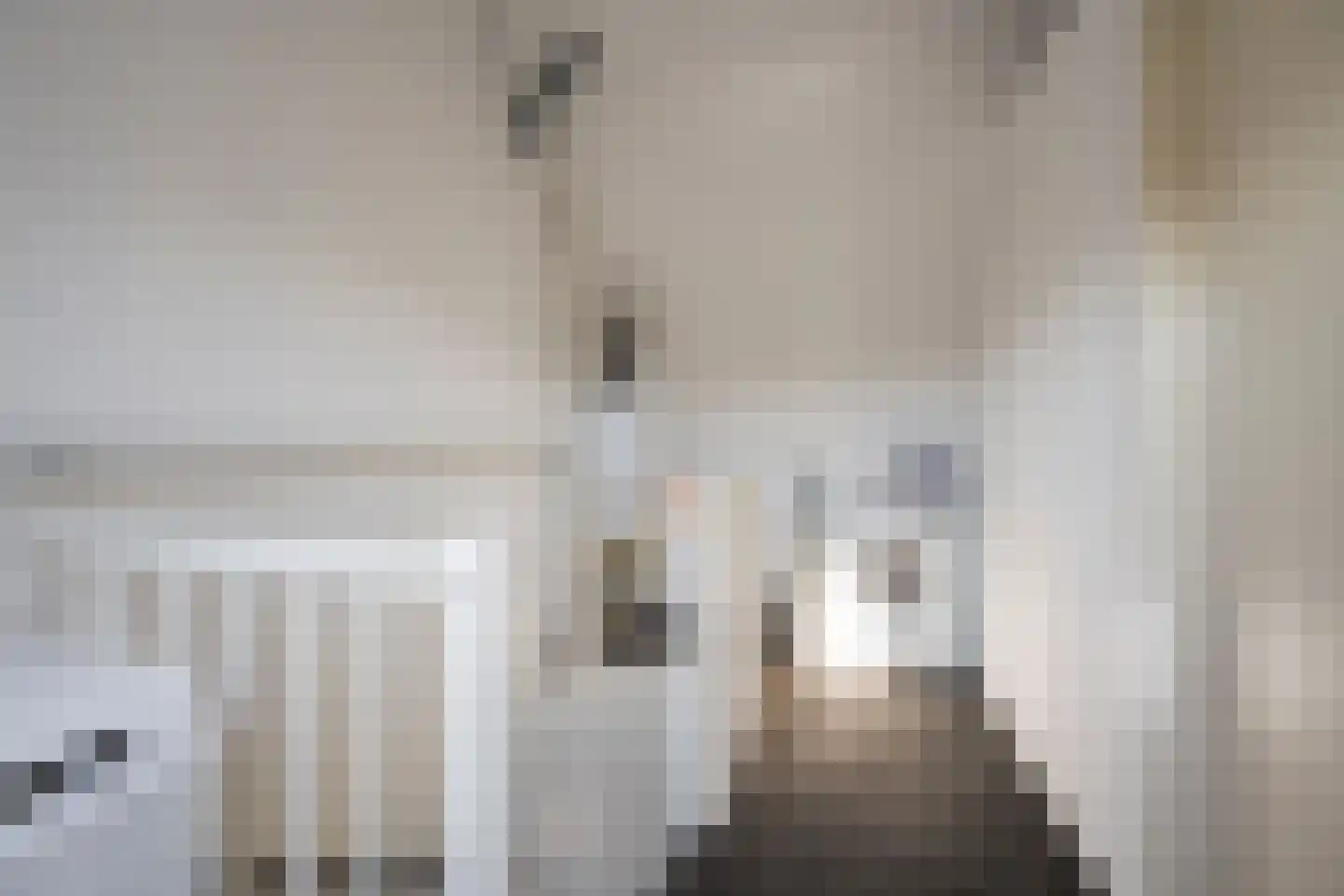 Willem van Harselaarlaan 26 Nijkerk thumbnail 28