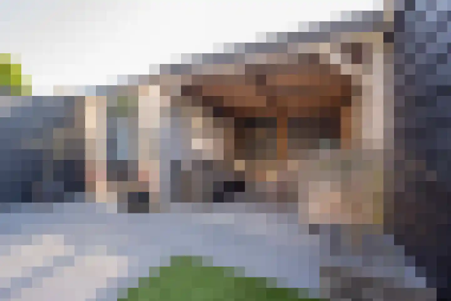 Willem van Harselaarlaan 26 Nijkerk thumbnail 31