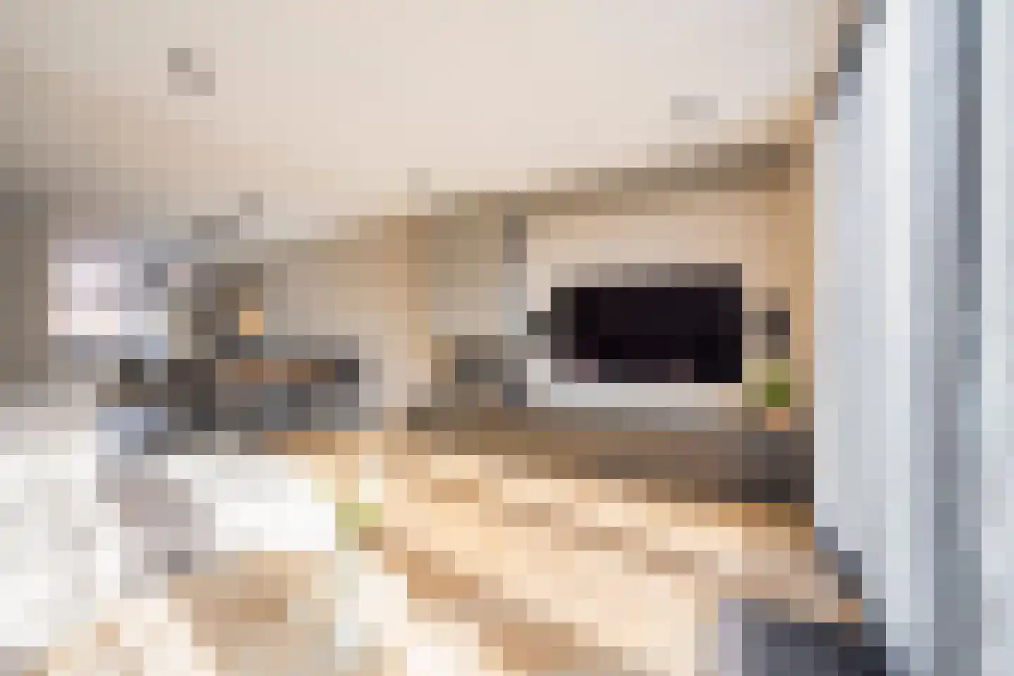 Willem van Harselaarlaan 26 Nijkerk thumbnail 4