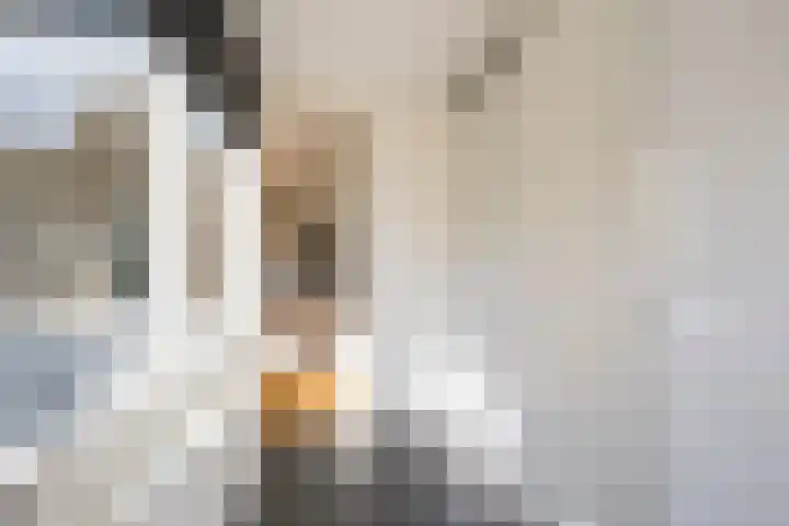 Willem van Harselaarlaan 42 Nijkerk thumbnail 19
