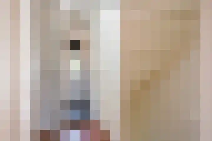 Willem van Harselaarlaan 42 Nijkerk thumbnail 27