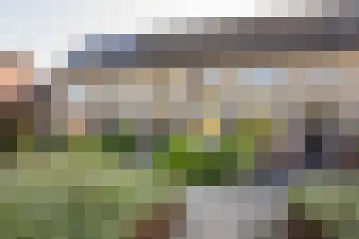 Willem van Harselaarlaan 42 Nijkerk thumbnail 5