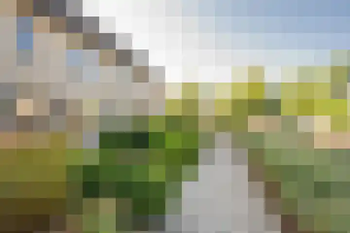 Willem van Harselaarlaan 42 Nijkerk thumbnail 6