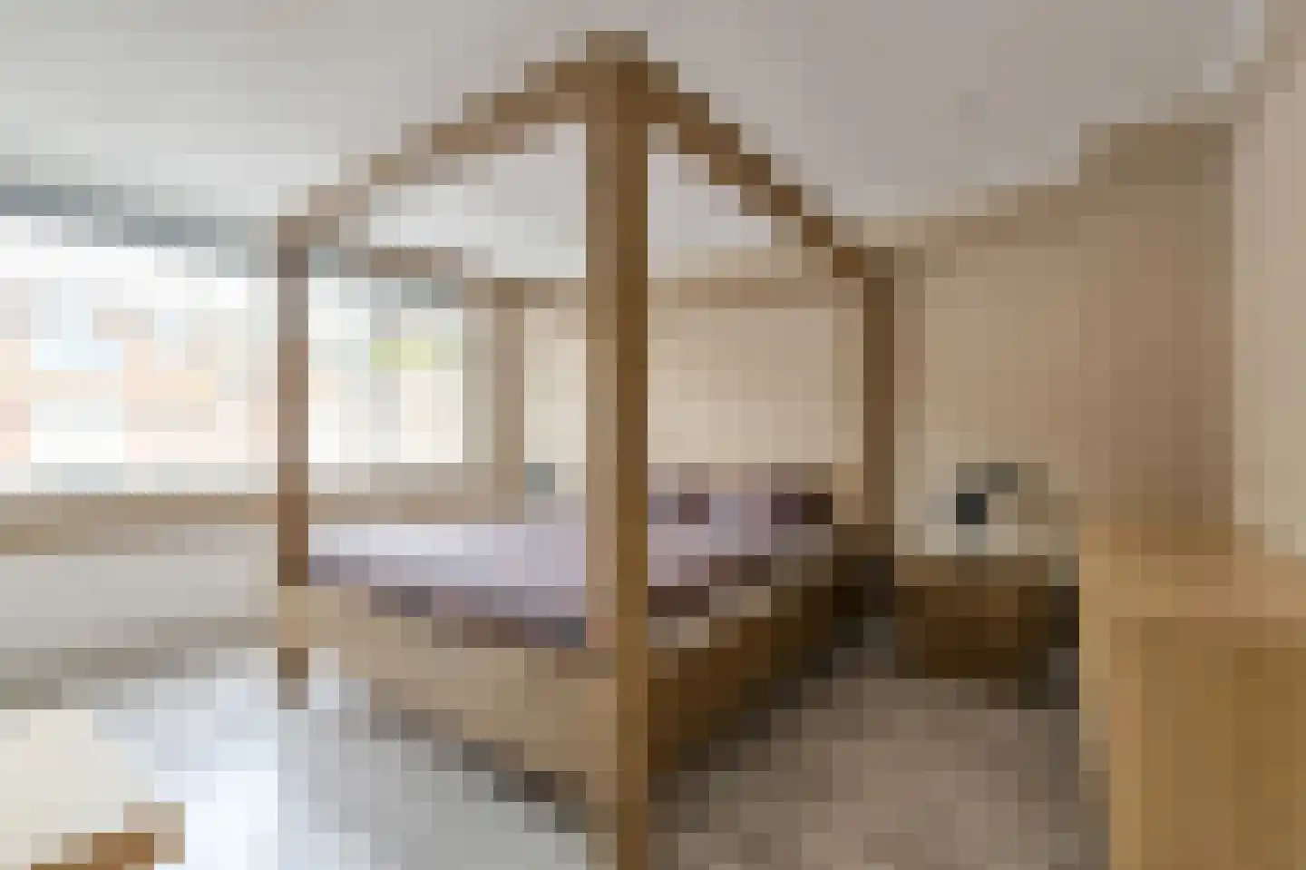 Willem van Heesstraat 31 Breda thumbnail 19