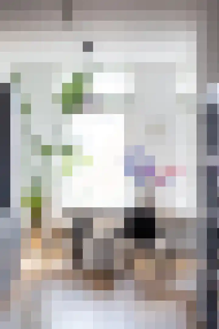 Willem van Hillegaersbergstraat 121 B Rotterdam thumbnail 12