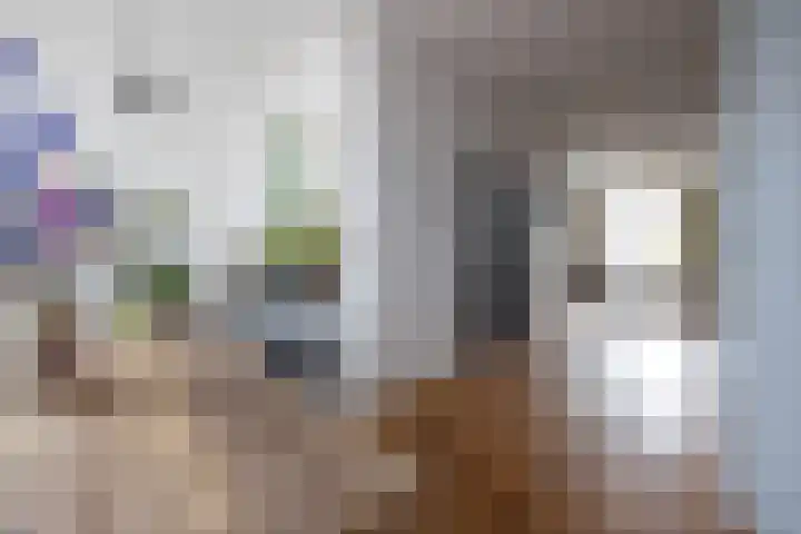 Willem van Hillegaersbergstraat 121 B Rotterdam thumbnail 17