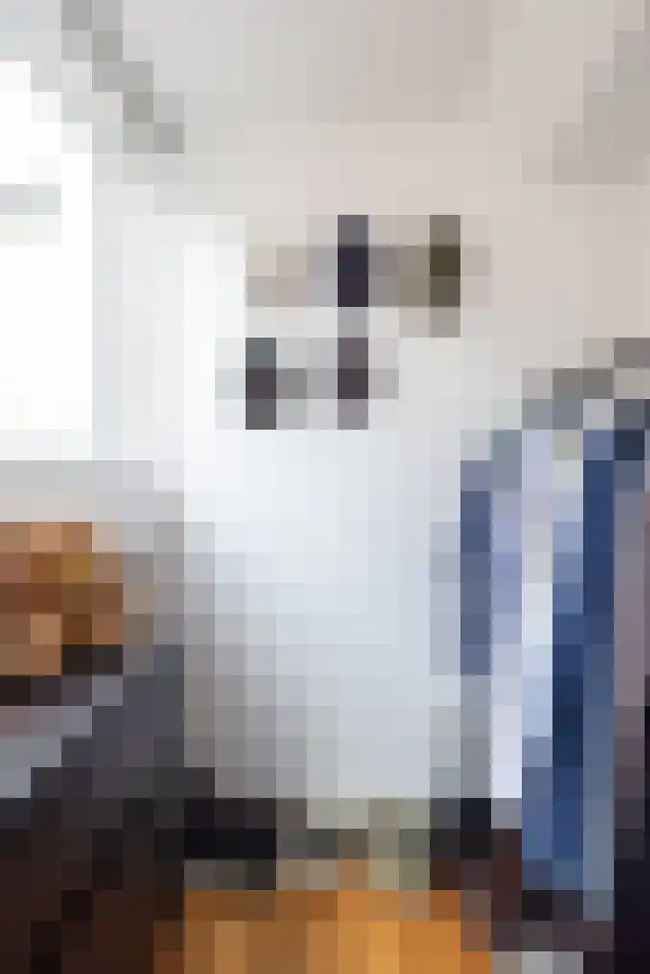 Willem van Hillegaersbergstraat 121 B Rotterdam thumbnail 24