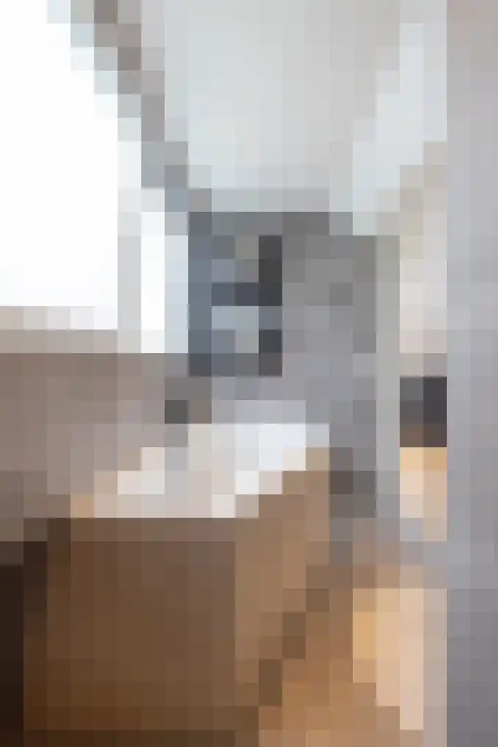 Willem van Hillegaersbergstraat 121 B Rotterdam thumbnail 30
