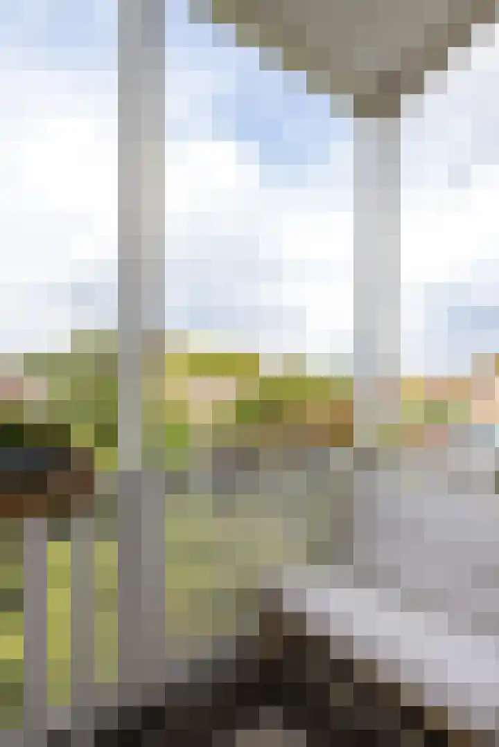 Willem van Hillegaersbergstraat 121 B Rotterdam thumbnail 9