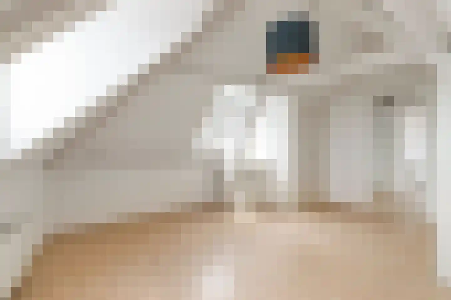 Willem van Hillegaersbergstraat 125 D Rotterdam thumbnail 13