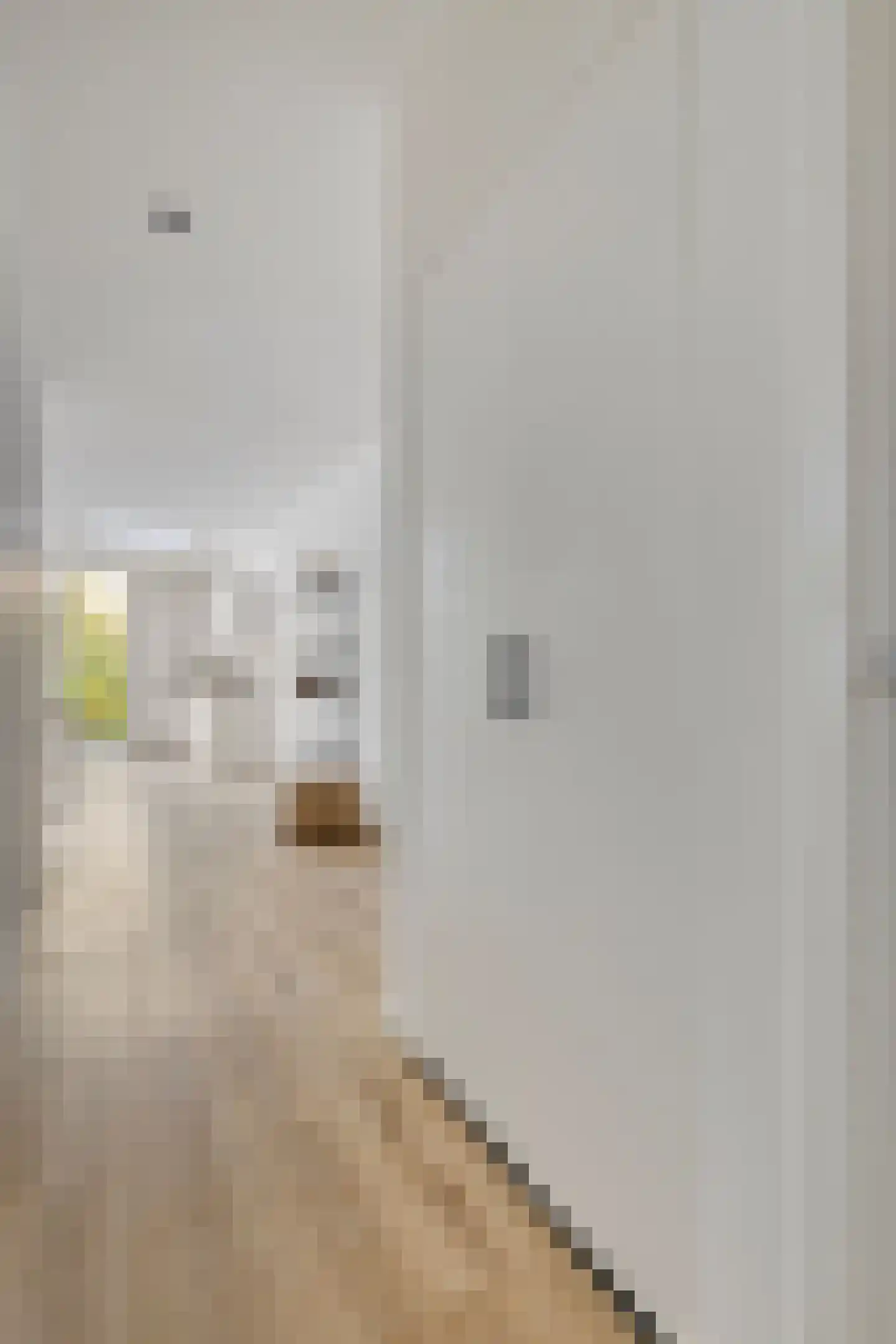 Willem van Hillegaersbergstraat 129 A Rotterdam thumbnail 17