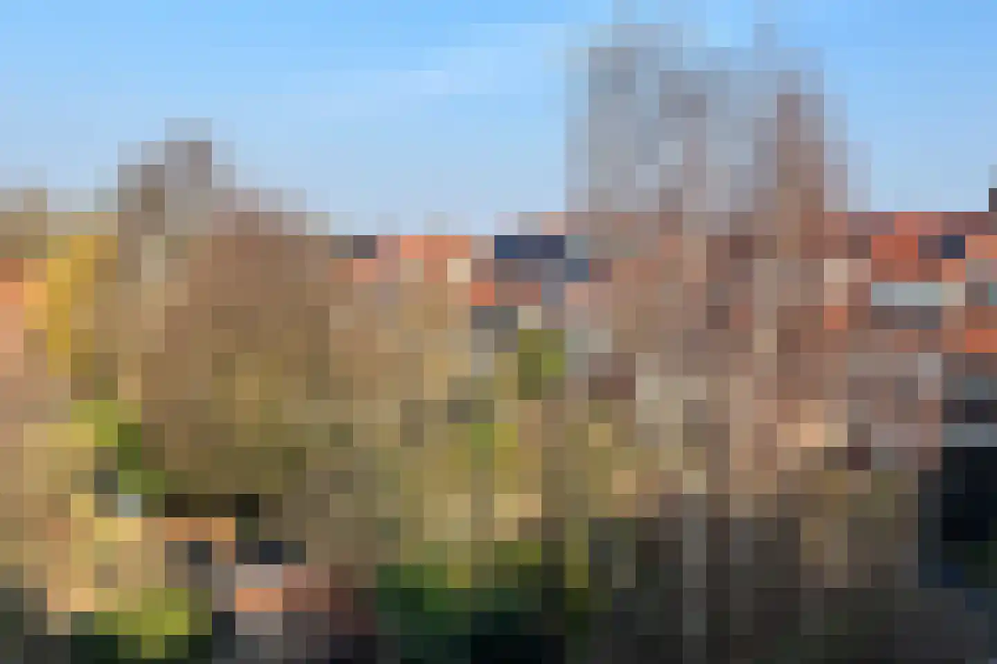Willem van Hillegaersbergstraat 141 D Rotterdam thumbnail 24