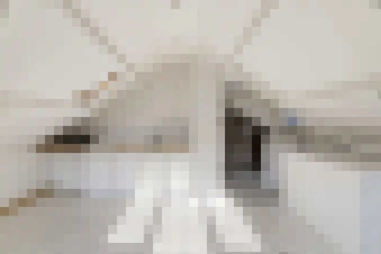 Willem van Hillegaersbergstraat 141 D Rotterdam thumbnail 7