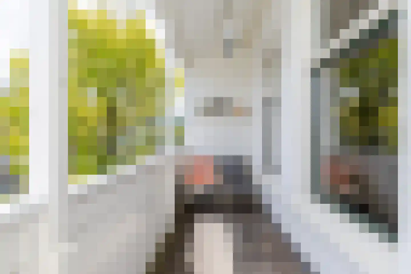 Willem van Hillegaersbergstraat 34 B Rotterdam thumbnail 17