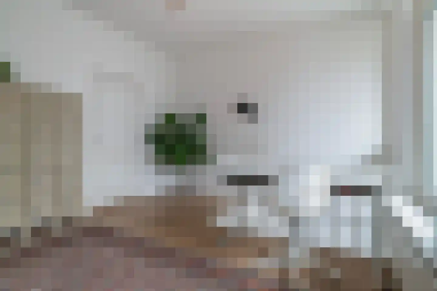 Willem van Hillegaersbergstraat 34 B Rotterdam thumbnail 6