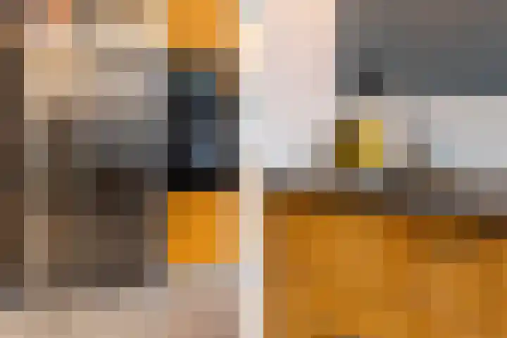 Willem van Hillegaersbergstraat 43 A Rotterdam thumbnail 12