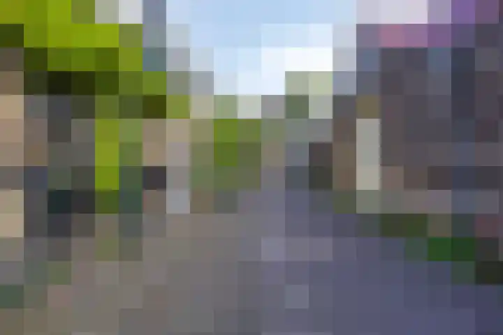 Willem van Hillegaersbergstraat 52 A Rotterdam thumbnail 34