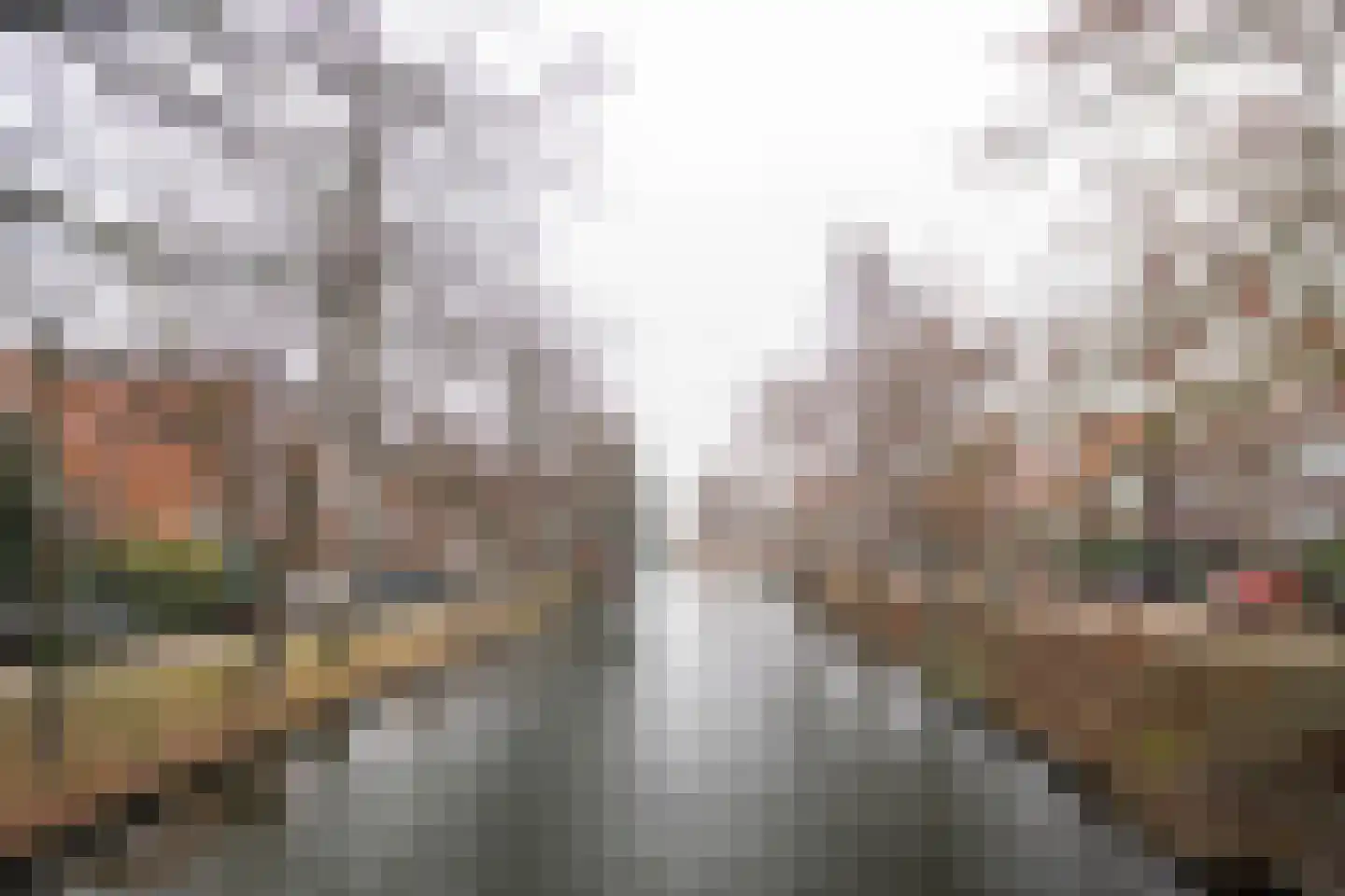Willem van Hillegaersbergstraat 64 B Rotterdam thumbnail 37