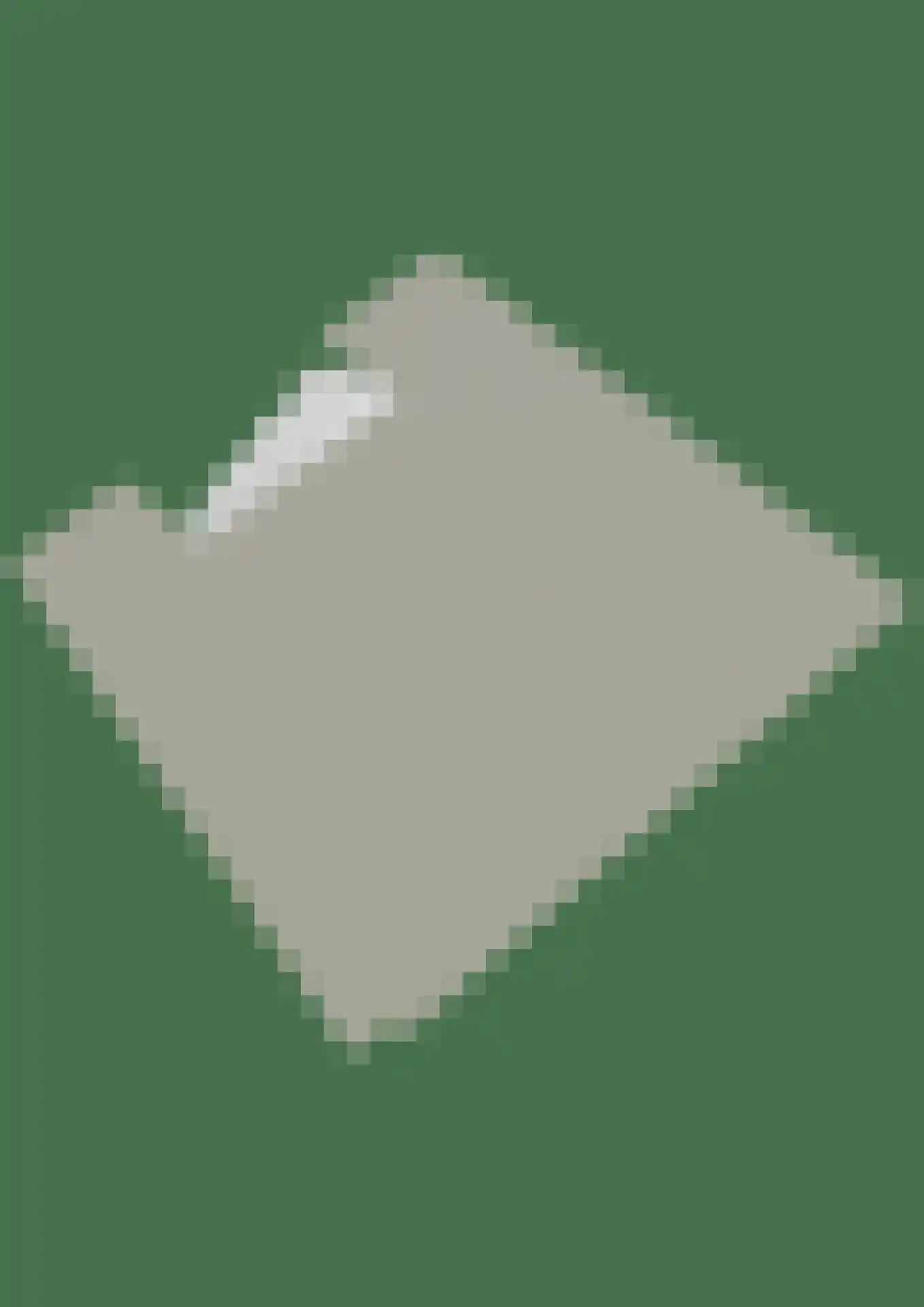 Willem van Hillegaersbergstraat 64 B Rotterdam thumbnail 52