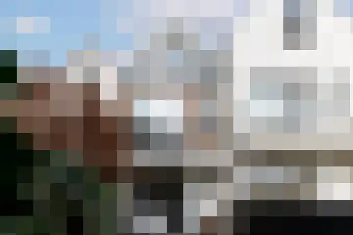 Willem van Hillegaersbergstraat 72 Rotterdam thumbnail 48