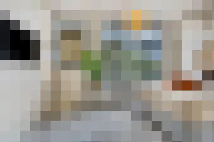 Willem van Hillegaersbergstraat 91 Rotterdam thumbnail 18