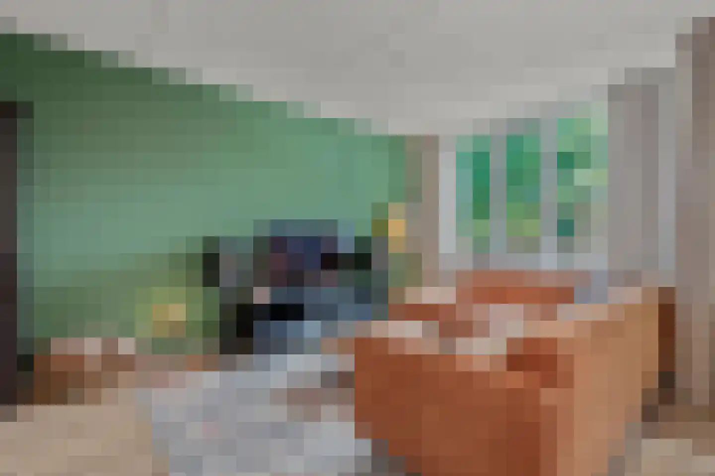 Willem van Hooffstraat 25 Naaldwijk thumbnail 5