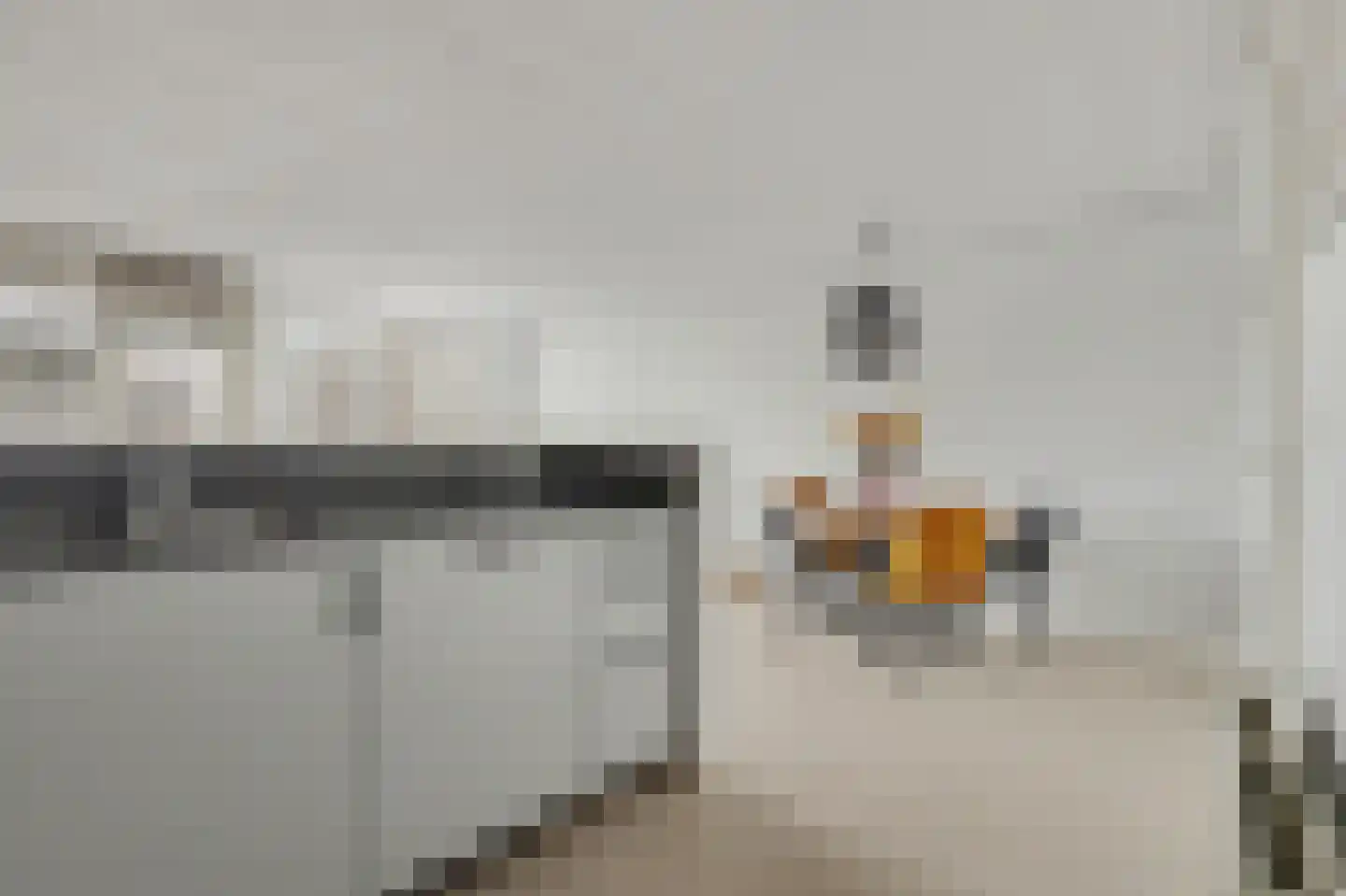 Willem van Hooffstraat 43 Naaldwijk thumbnail 8